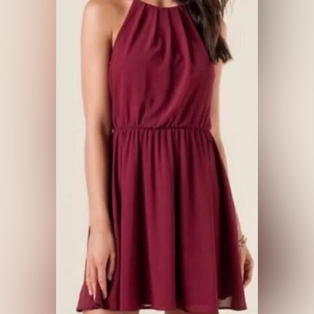 Lush Burgundy Chiffon Sleeveless Pleated Blouson Mini Skater Dress - M